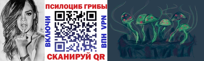 Псилоцибиновые грибы Cubensis  Купить закладки  Кызыл 